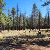 Review photo of Dogtown Lake Campground And Group by Tony B., July 1, 2023