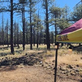 Review photo of Dogtown Lake Campground And Group by Tony B., July 1, 2023
