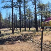 Review photo of Dogtown Lake Campground And Group by Tony B., July 1, 2023