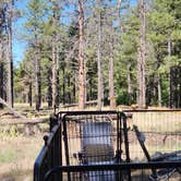 Review photo of Dogtown Lake Campground And Group by Tony B., July 1, 2023