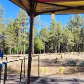 Review photo of Dogtown Lake Campground And Group by Tony B., July 1, 2023