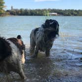 Review photo of Buzzards Roost — Lake Murray State Park by Kristen V., October 21, 2018