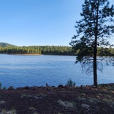 Review photo of Dogtown Lake Campground And Group by Tony B., July 1, 2023