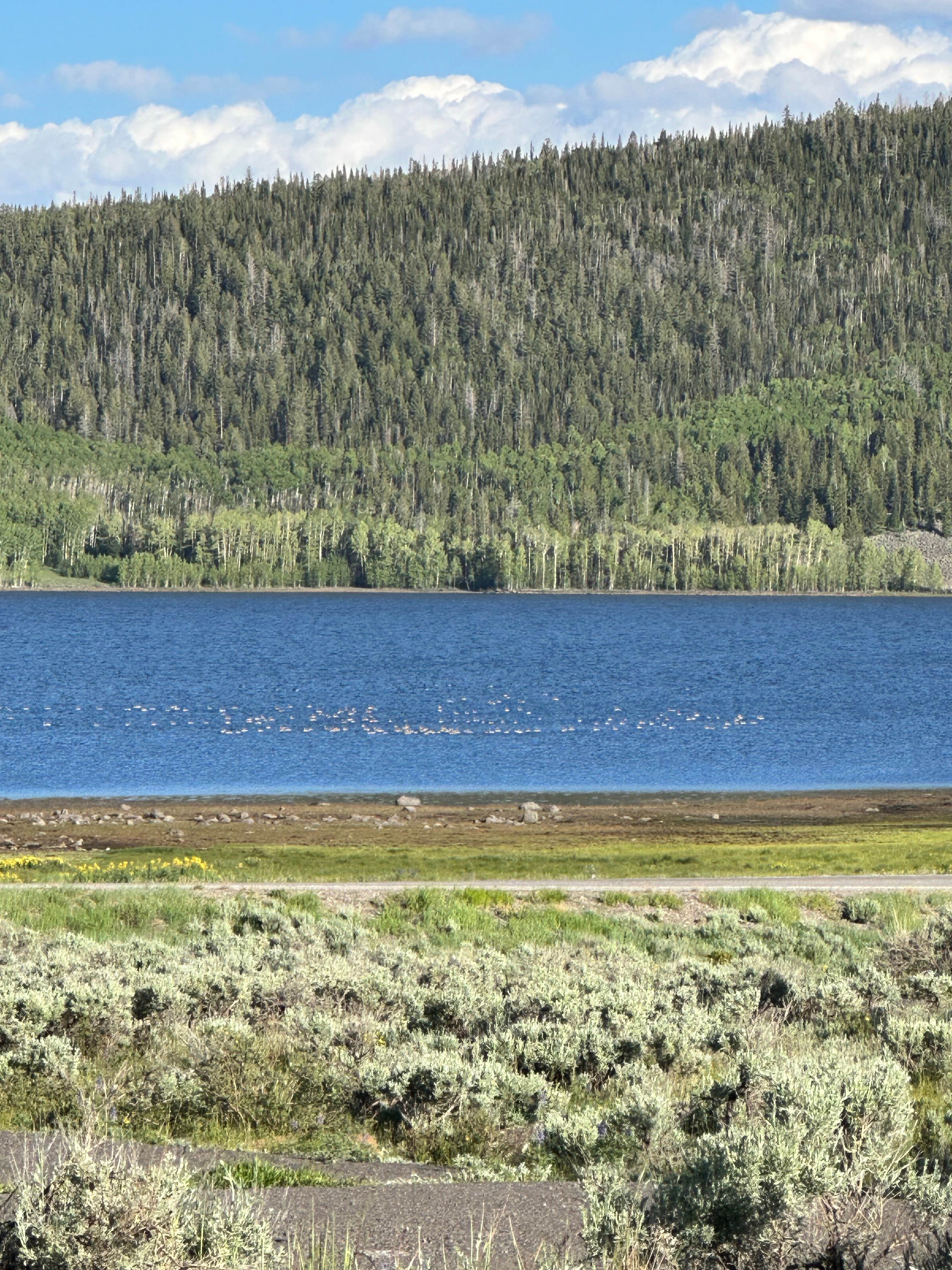 Camper submitted image from Paiute Campground — Fishlake National Forest - 5