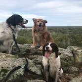 Review photo of Buzzards Roost — Lake Murray State Park by Kristen V., October 21, 2018