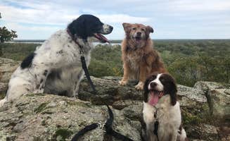 Kristen V.'s photo of camping with pets at Buzzards Roost — Lake Murray State Park near Lake Texoma