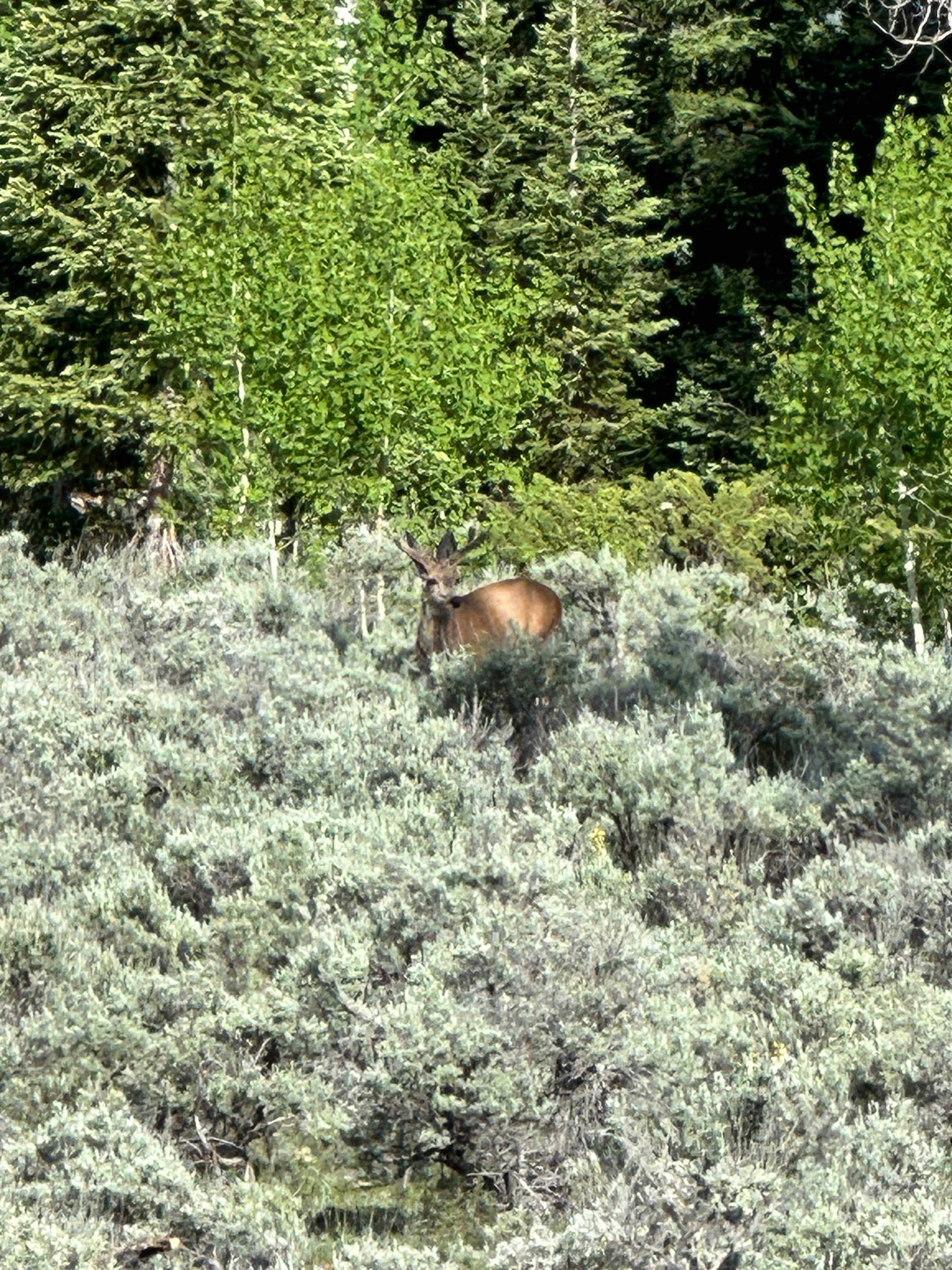 Camper submitted image from Paiute Campground — Fishlake National Forest - 3