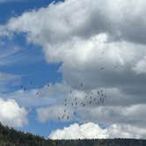 Review photo of Paiute Campground — Fishlake National Forest by John C., July 1, 2023