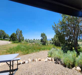 Camper-submitted photo from Cottonwood RV Park