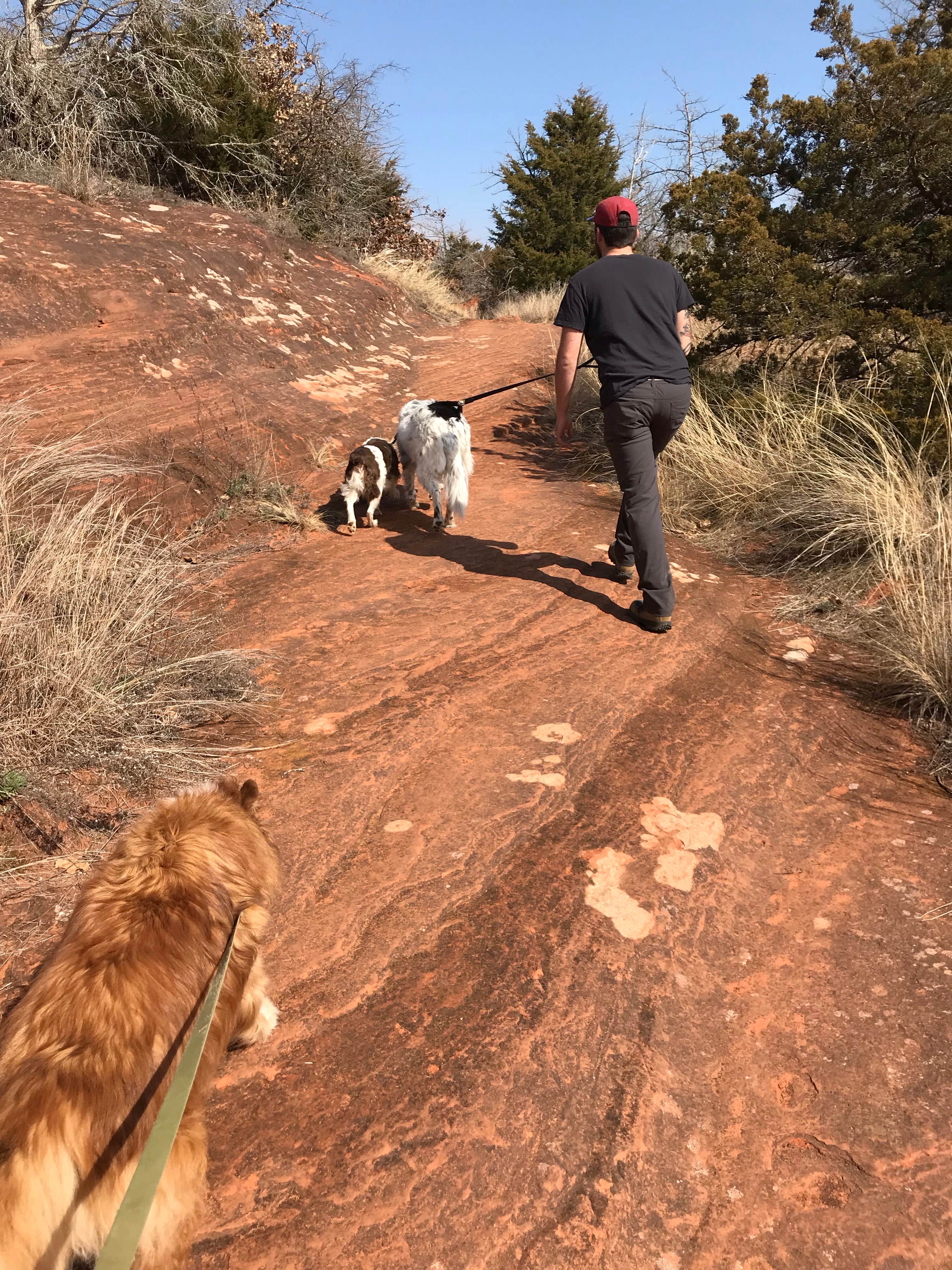 Camper submitted image from Red Rock Canyon Adventure Park - 3