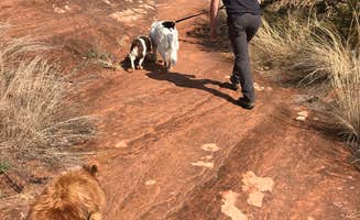 Kristen V.'s photo of camping with pets at Red Rock Canyon Adventure Park near Foss, OK
