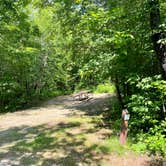 Review photo of Hastings Campground by Amy R., July 1, 2023