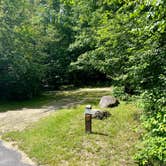 Review photo of Hastings Campground by Amy R., July 1, 2023