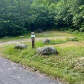 Review photo of Hastings Campground by Amy R., July 1, 2023