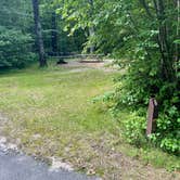 Review photo of Hastings Campground by Amy R., July 1, 2023