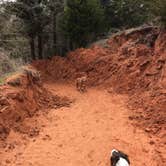 Review photo of Red Rock Canyon Adventure Park by Kristen V., October 21, 2018