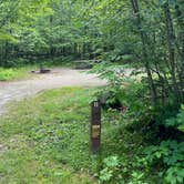 Review photo of Hastings Campground by Amy R., July 1, 2023