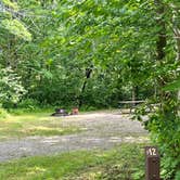 Review photo of Hastings Campground by Amy R., July 1, 2023