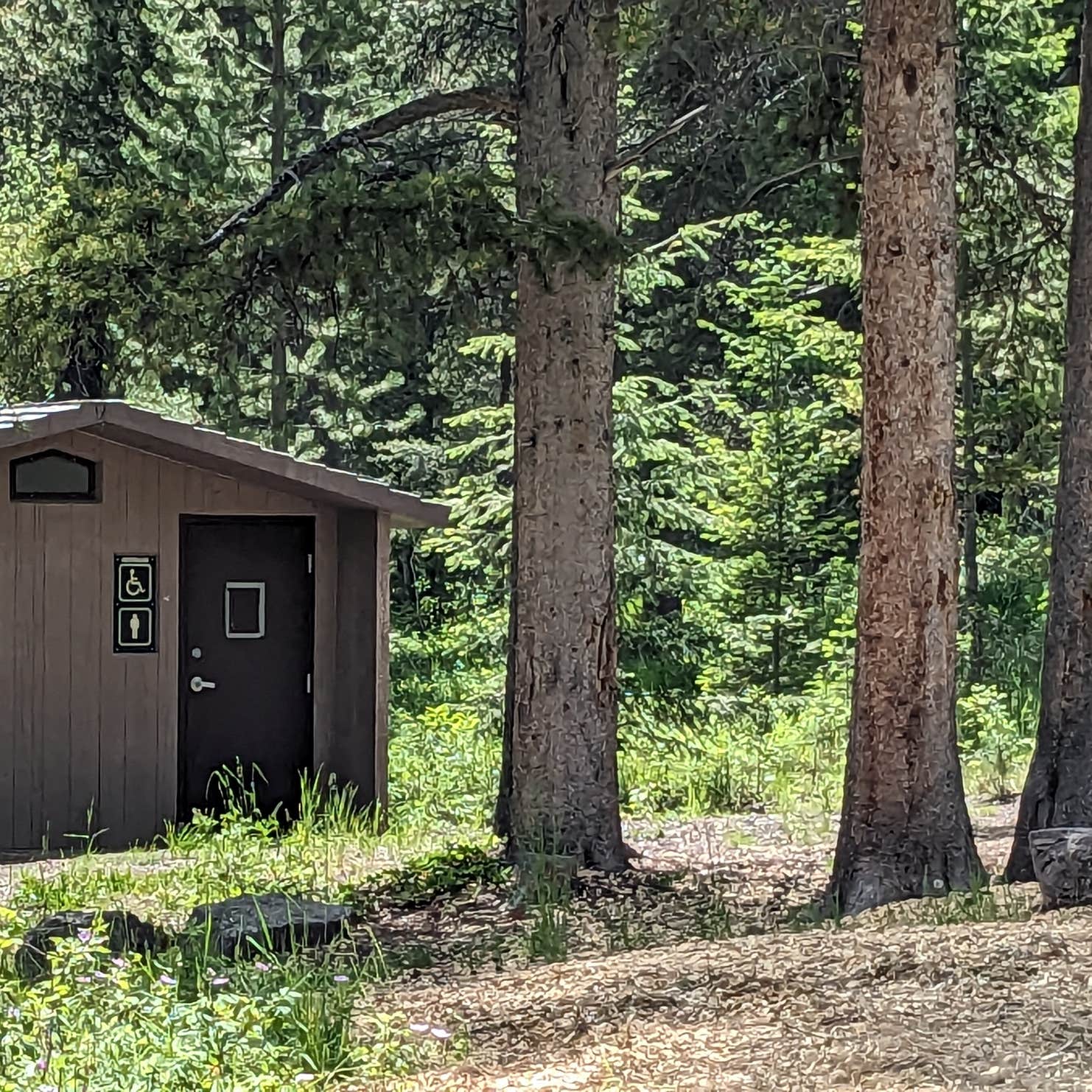 Allred Flat Camping Afton, WY