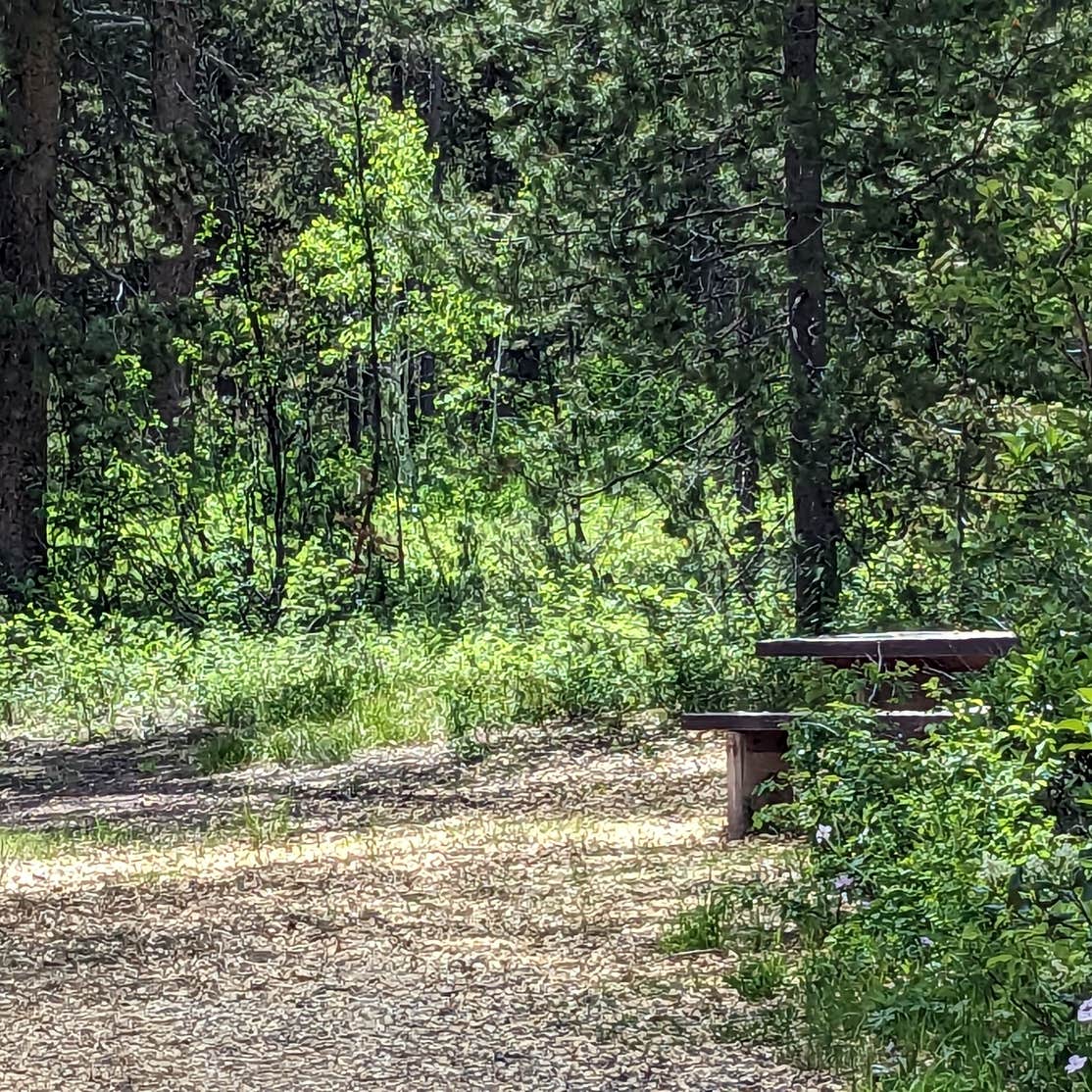 Allred Flat Camping Afton, WY