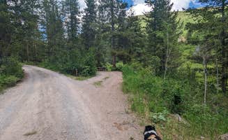 Greg L.'s photo of camping with pets at Allred Flat near Thayne, WY