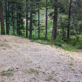 Review photo of Allred Flat by Greg L., July 1, 2023