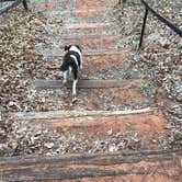 Review photo of Red Rock Canyon Adventure Park by Kristen V., October 21, 2018