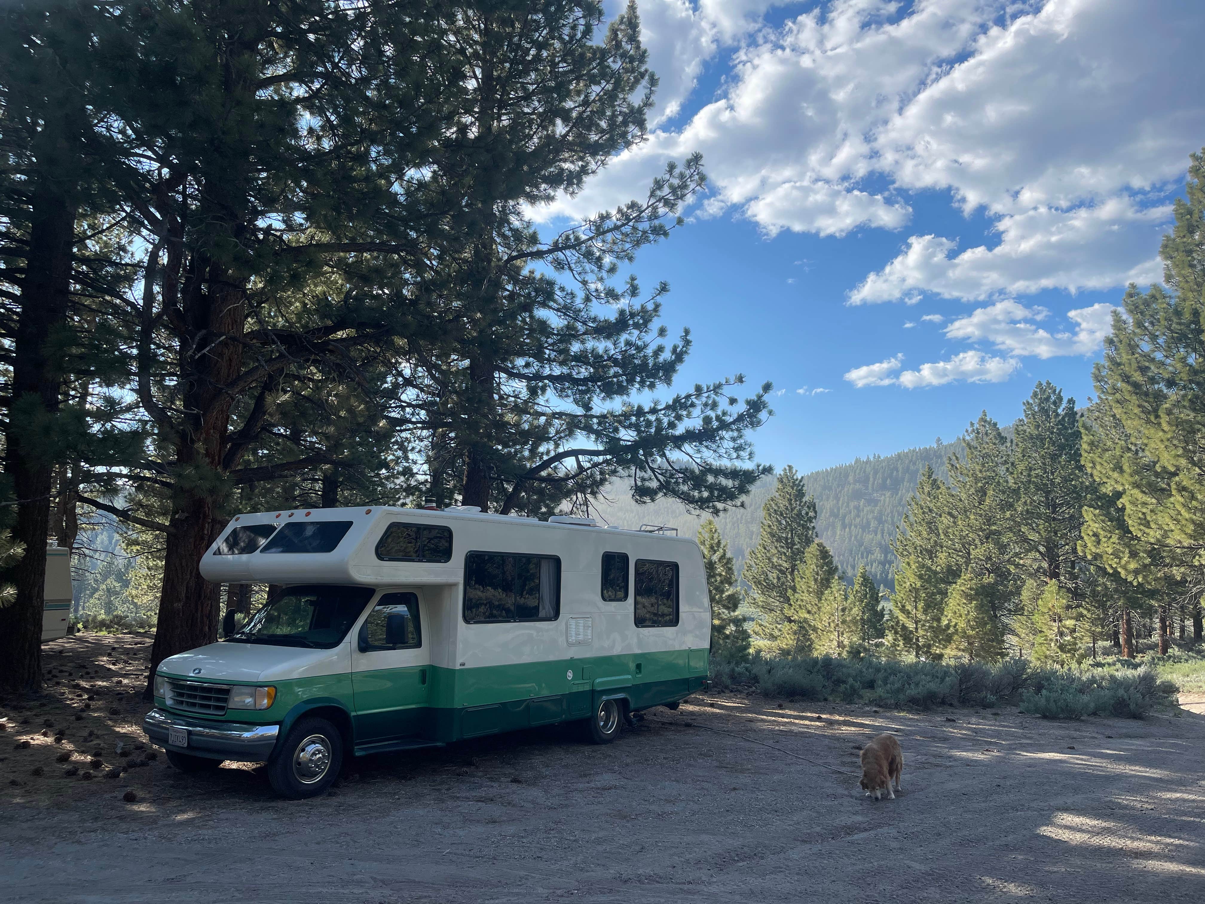 Adam  B.'s photo of camping with pets at Owens River Road Dispersed near Tahoe National Forest