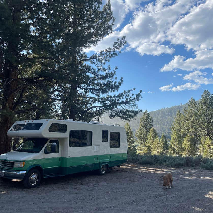 Owens River Road Dispersed Camping | The Dyrt