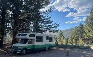 Adam  B.'s photo of camping with pets at Owens River Road Dispersed near Mammoth Lakes, CA