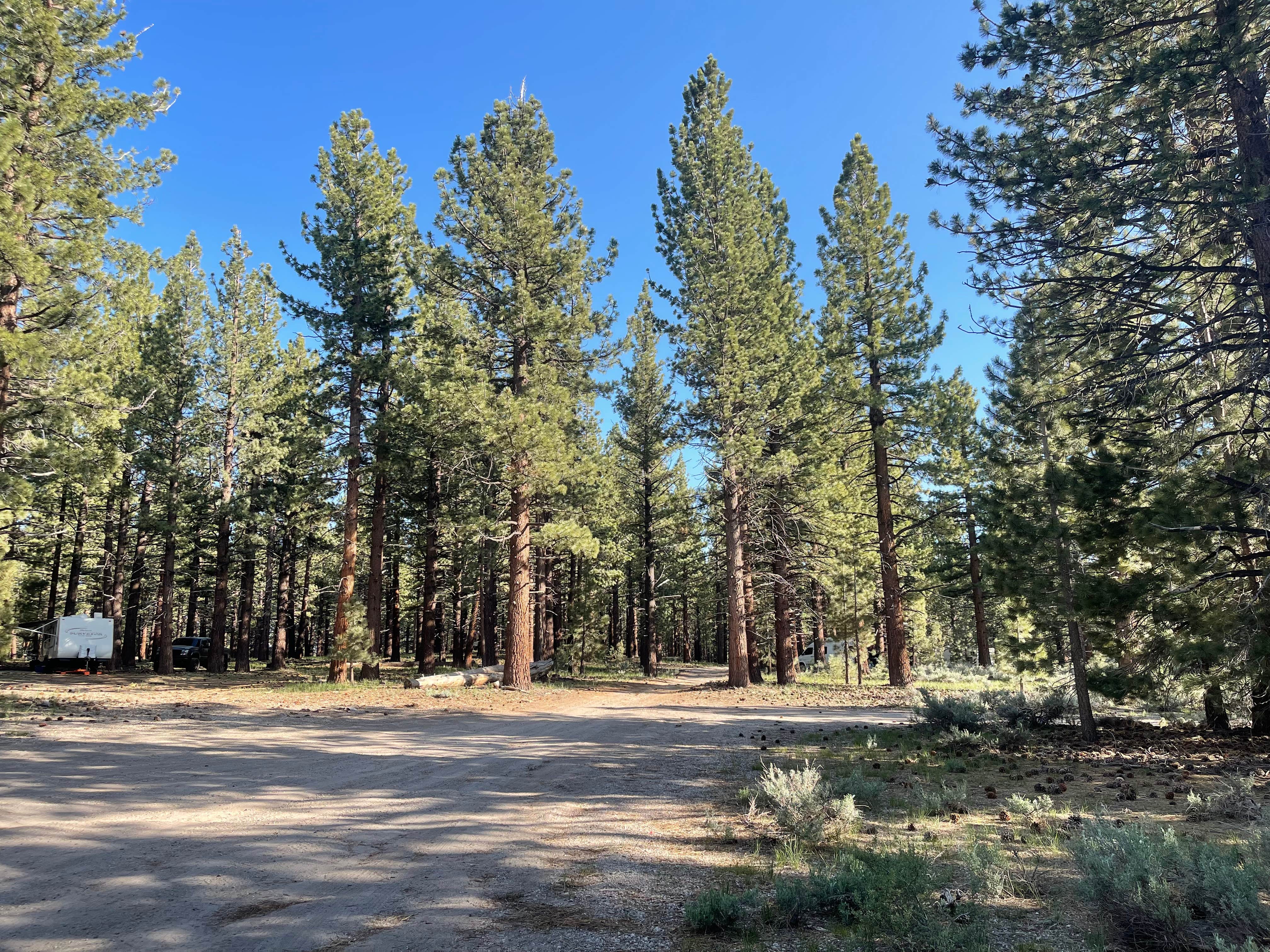 Camper-submitted photo at Owens River Road Dispersed near Inyo National Forest