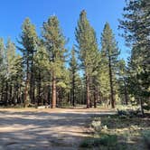 Review photo of Owens River Road Dispersed by Adam  B., July 2, 2023