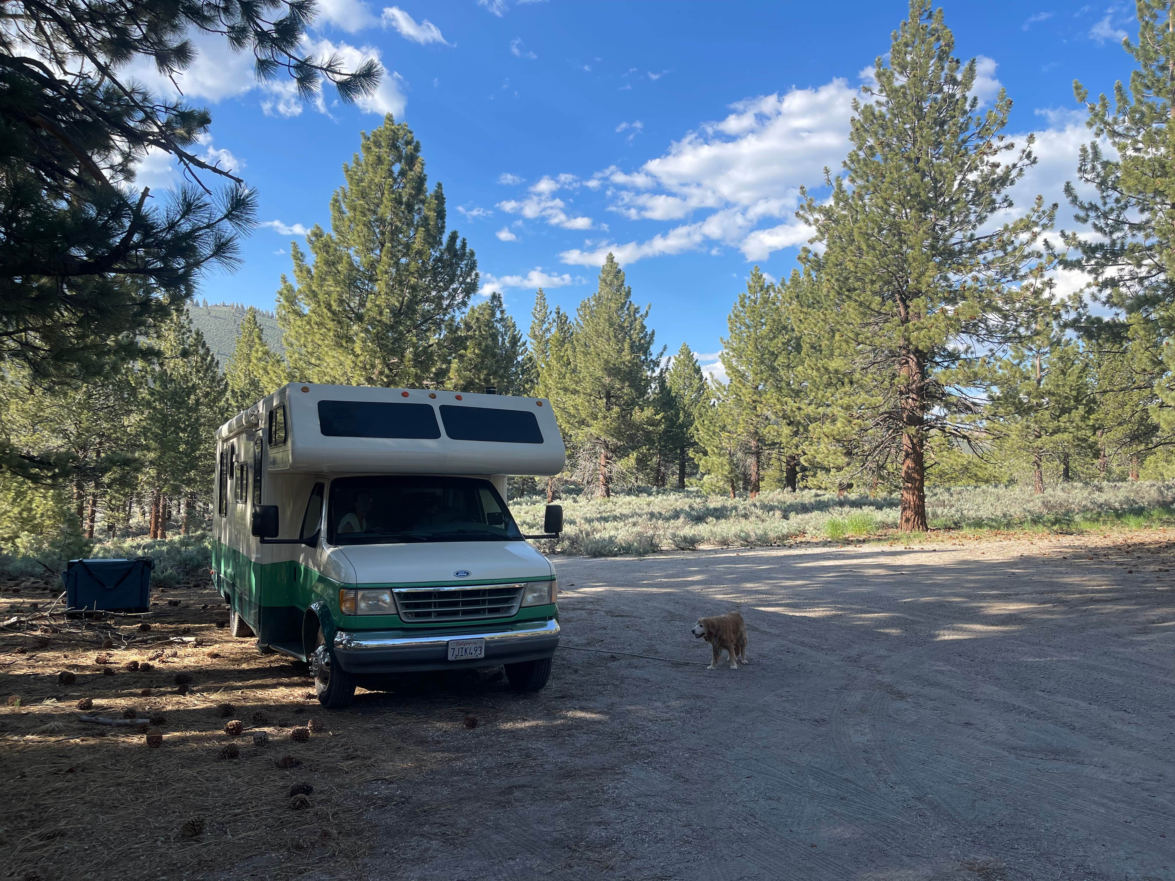 Adam  B.'s photo at Owens River Road Dispersed near Benton, CA