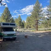 Review photo of Owens River Road Dispersed by Adam  B., July 2, 2023