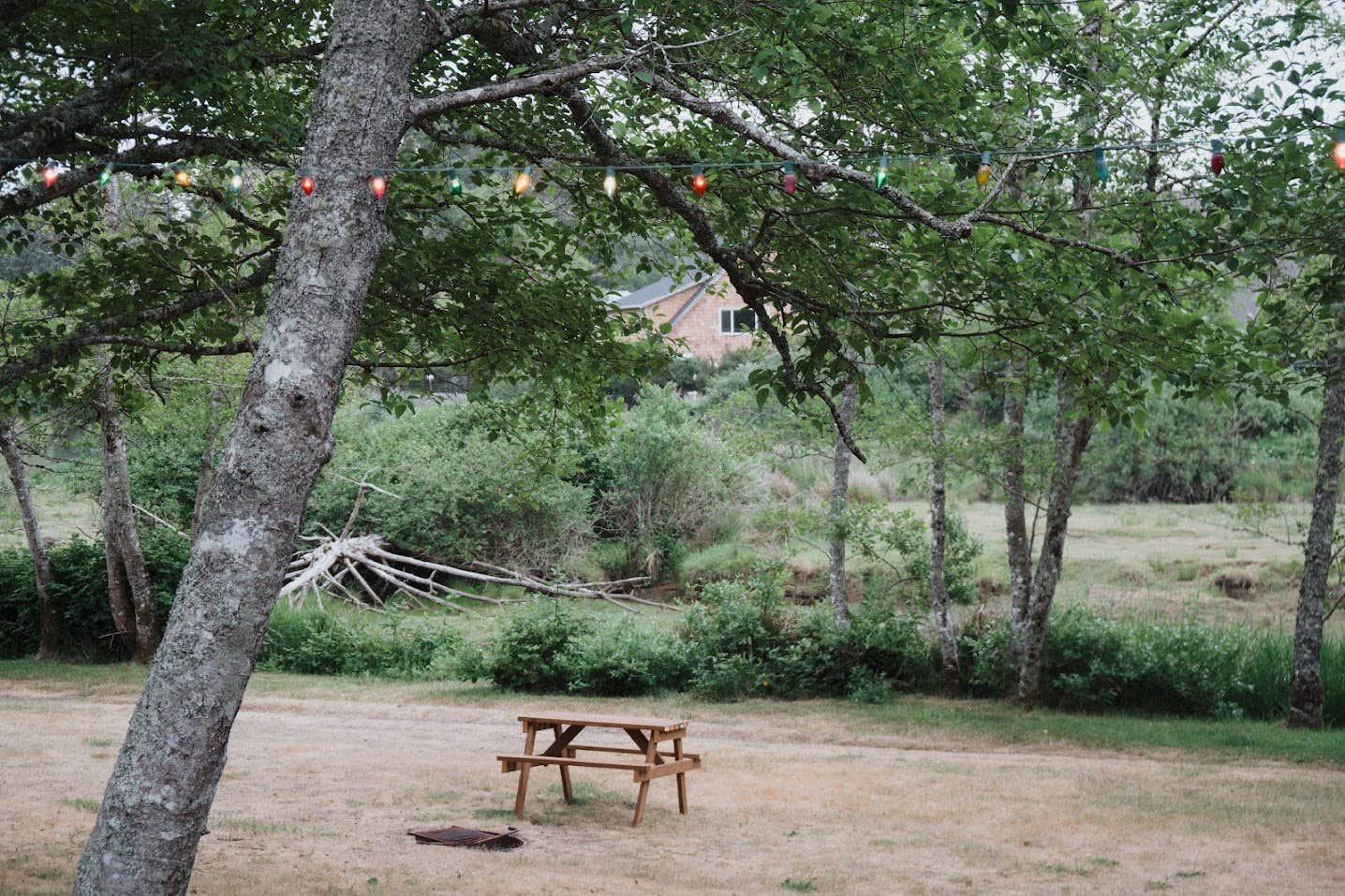 Camper-submitted photo at Sea Ranch Resort near Cannon Beach, OR