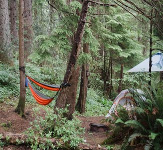 Camper-submitted photo from Skamokawa Vista Park