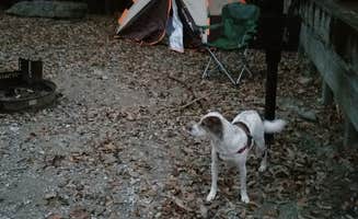 Ryan T.'s photo of camping with pets at Edgar Evins State Park Campground near Granville, TN