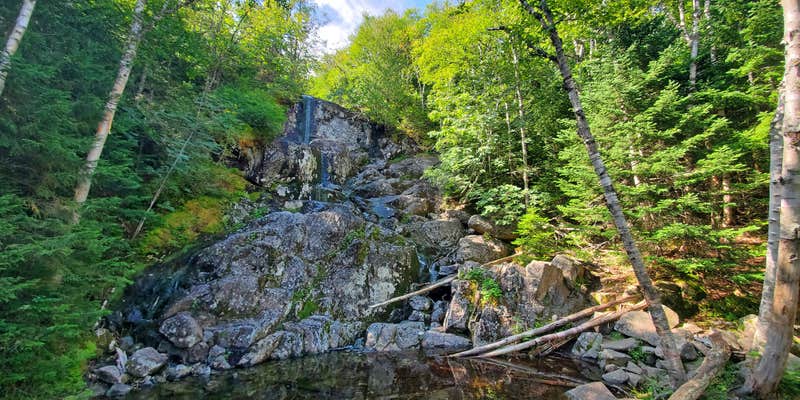 Camper submitted image from MacIntyre Brook Falls campground