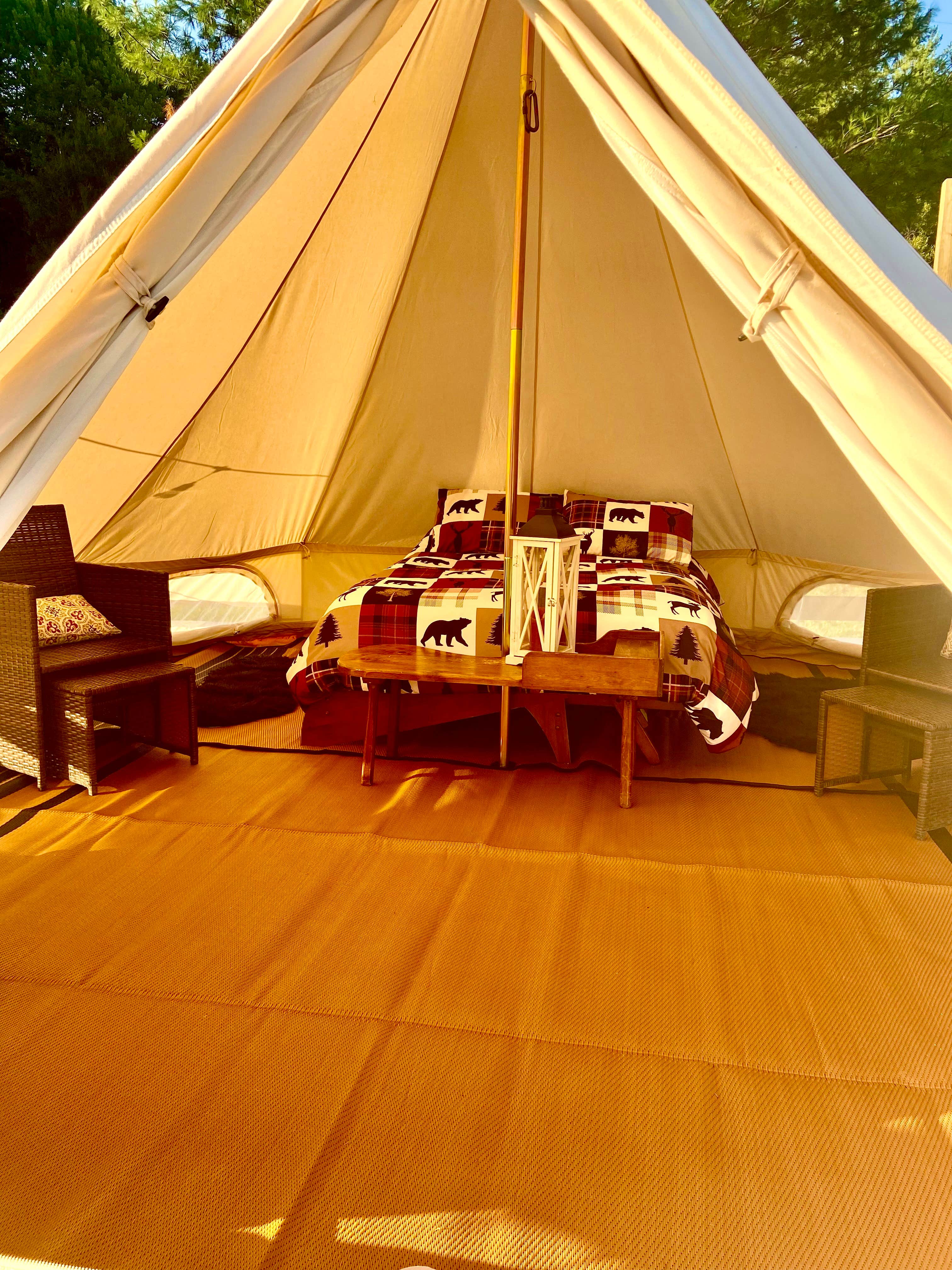 Lynn L.'s photo of glamping accommodations at Brook Run Dog Retreat near Barre, VT