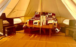 Lynn L.'s photo of glamping accommodations at Brook Run Dog Retreat near Plattsburgh, NY