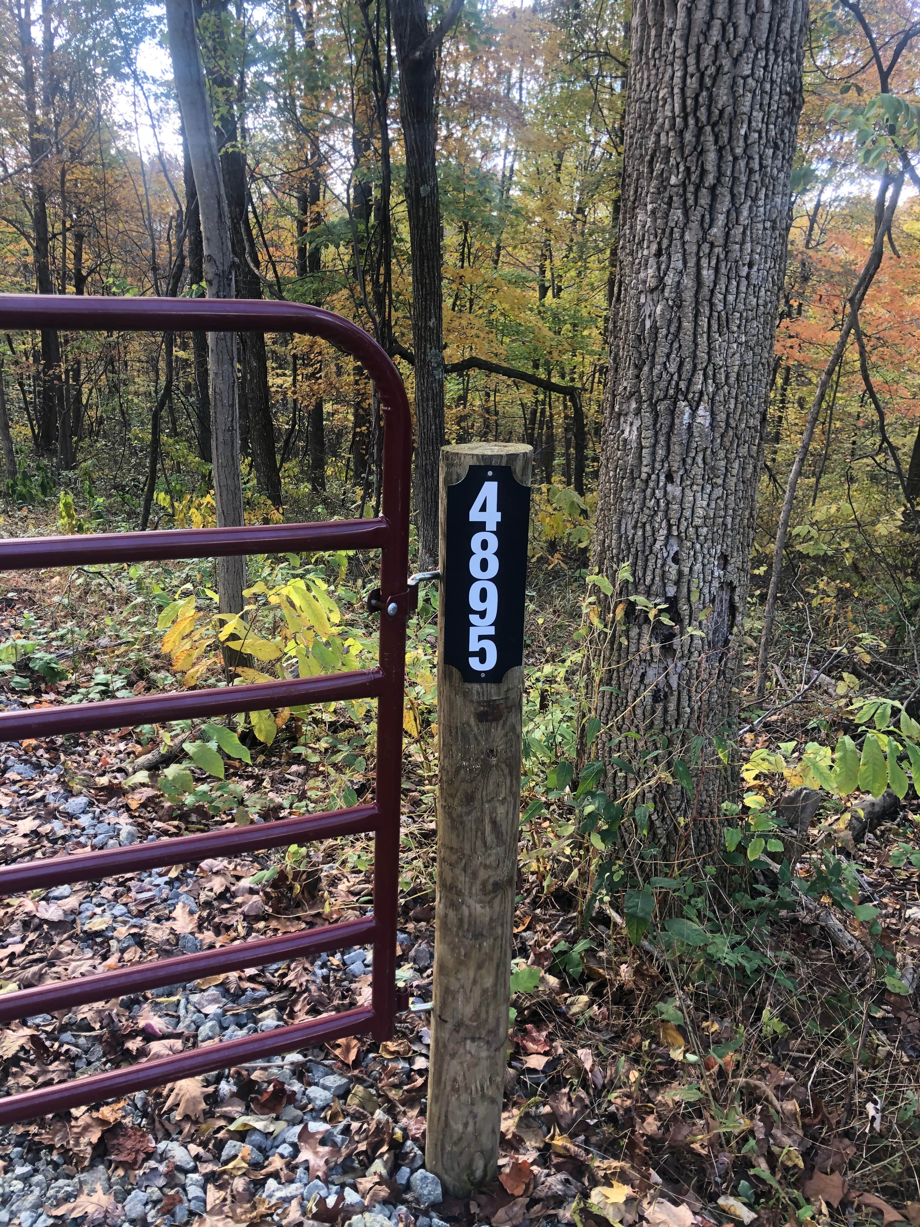 Camper-submitted photo at Lizzy’s Acres near Lockbourne, OH