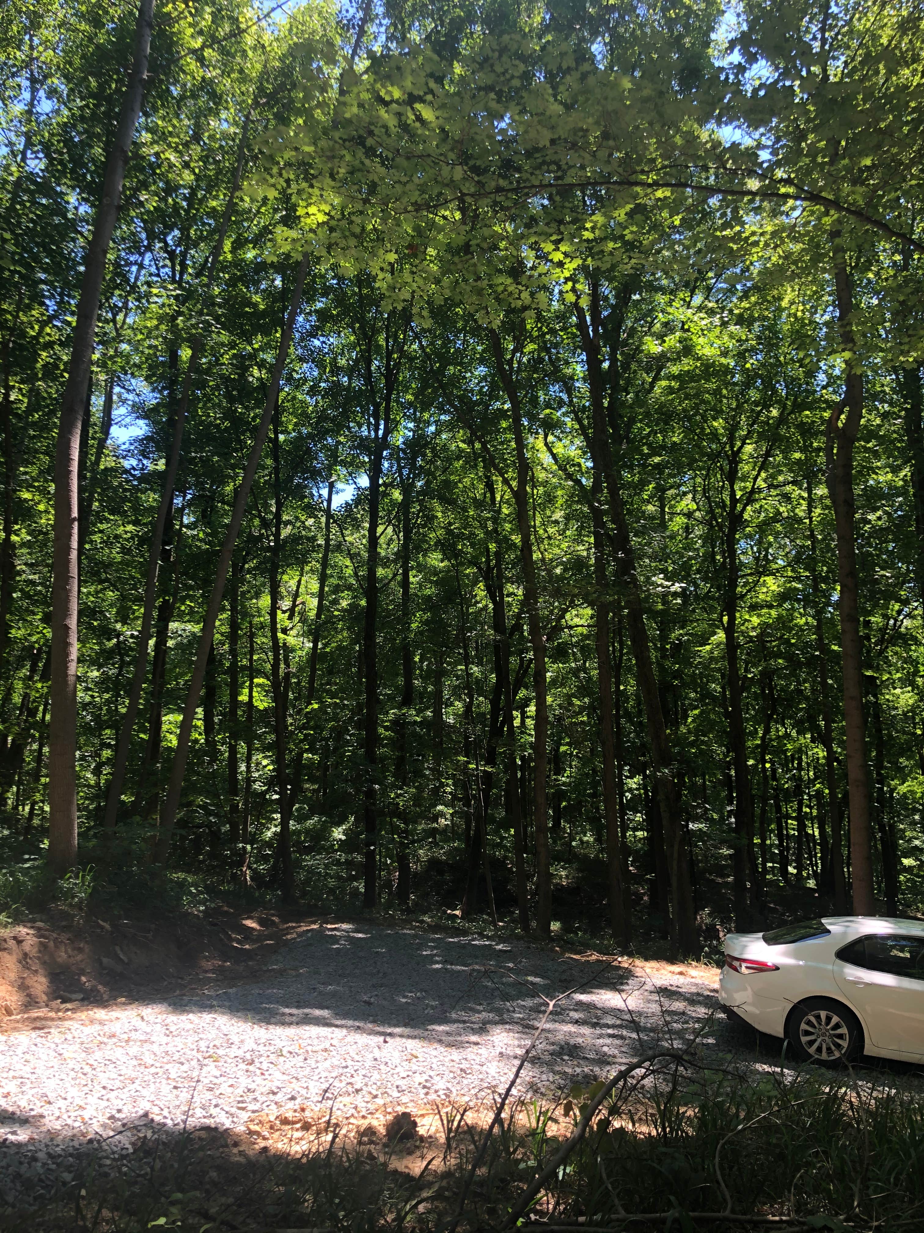 Camper-submitted photo at Lizzy’s Acres near Lockbourne, OH