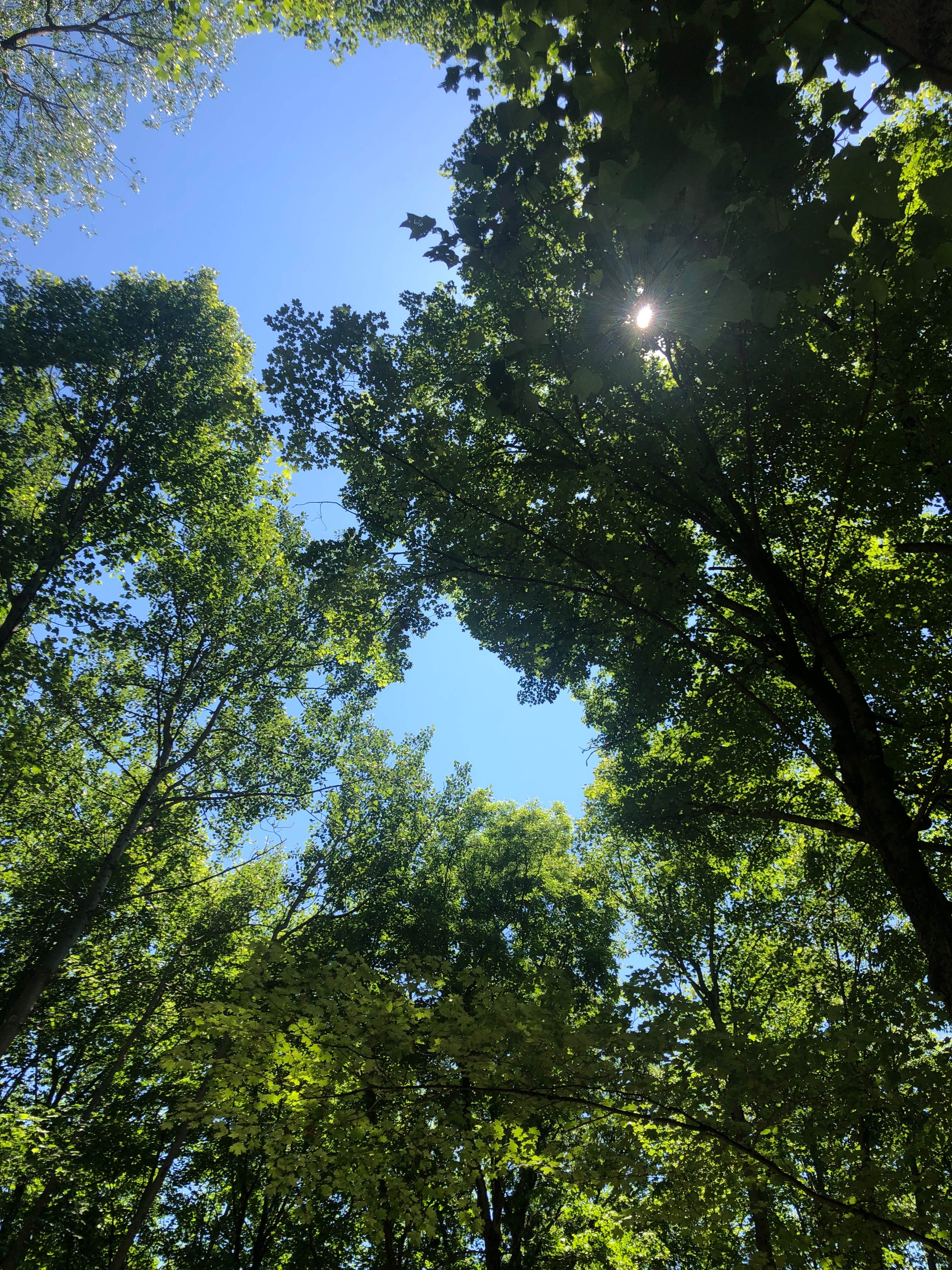 Camper-submitted photo at Lizzy’s Acres near Latham, OH