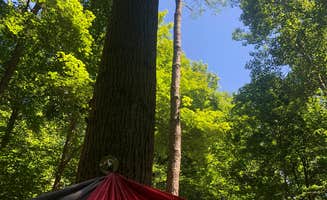 Liz M.'s photo of tent camping at Lizzy’s Acres near Bourneville, OH