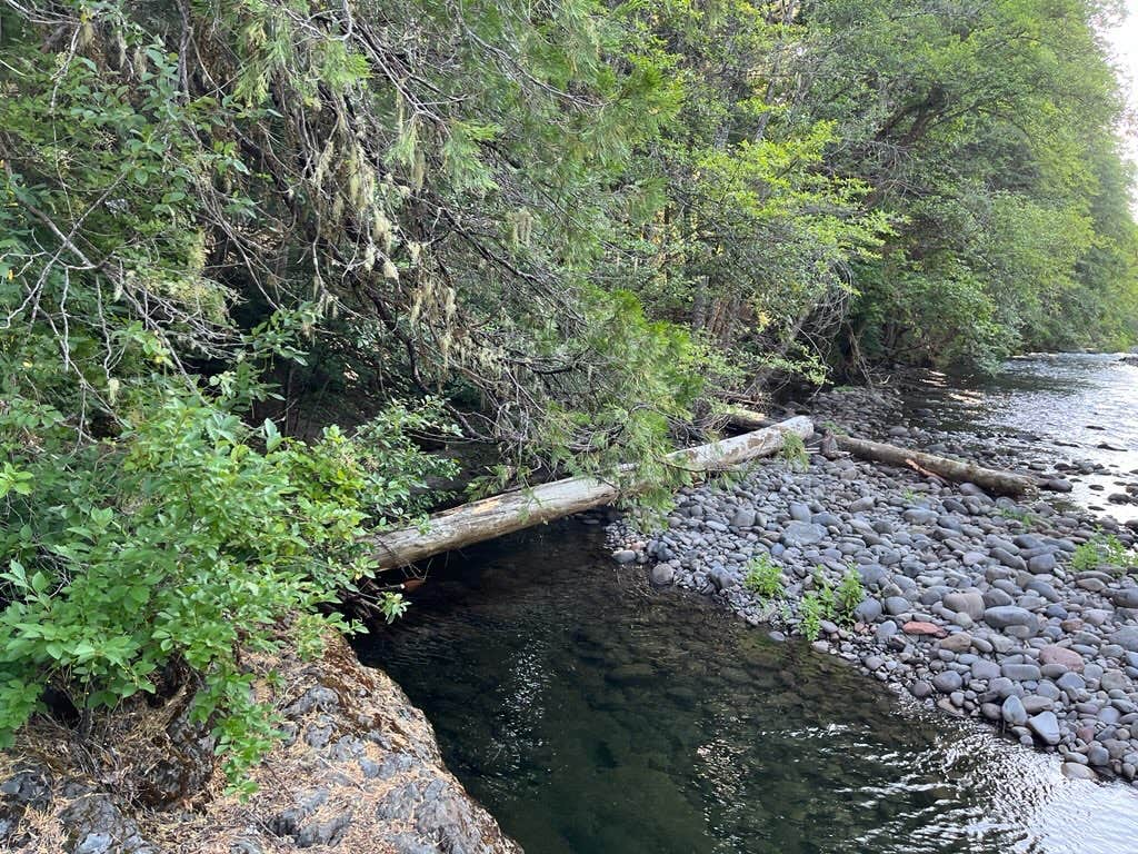 Camper submitted image from Campers Flat Campground - 4