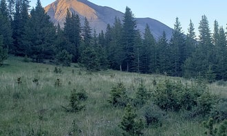 Camping near Peaceful Peaks Glamping : Cordova Pass, La Veta, Colorado