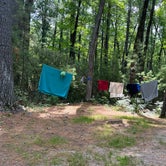 Review photo of Castle Mound Campground — Black River State Forest by Scott S., July 2, 2023