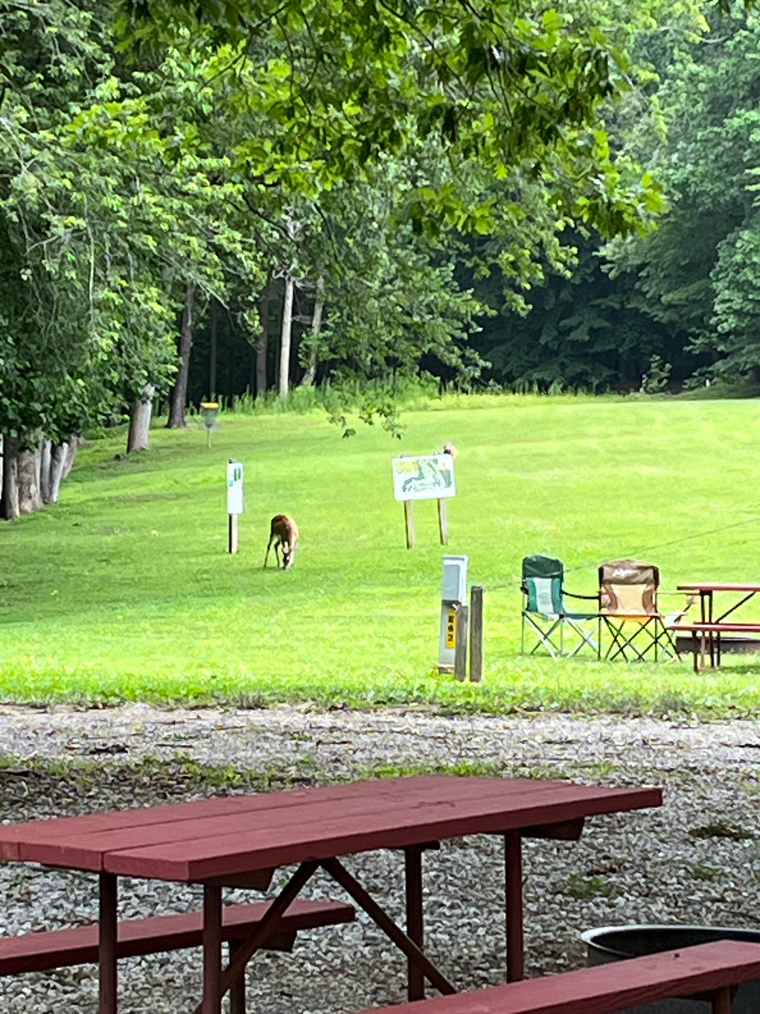 Kyle D.'s photo of camping with pets at Williamsburg Campground near Newport News, VA