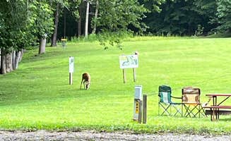Kyle D.'s photo of camping with pets at Williamsburg Campground near Newport News, VA