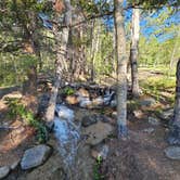 Review photo of Browns Creek (South) Dispersed Camping by Seth H., July 2, 2023